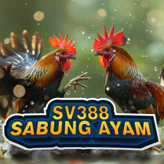 SV388 #Sabung Ayam Online 24 Jam Info Aman Dan Terpecaya Pasti Menang